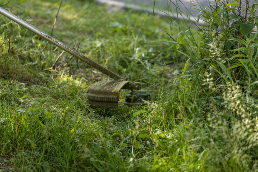 pexels-photo-29288279-29288279 A grass trimmer cutting through a lush, green lawn on a sunny day.